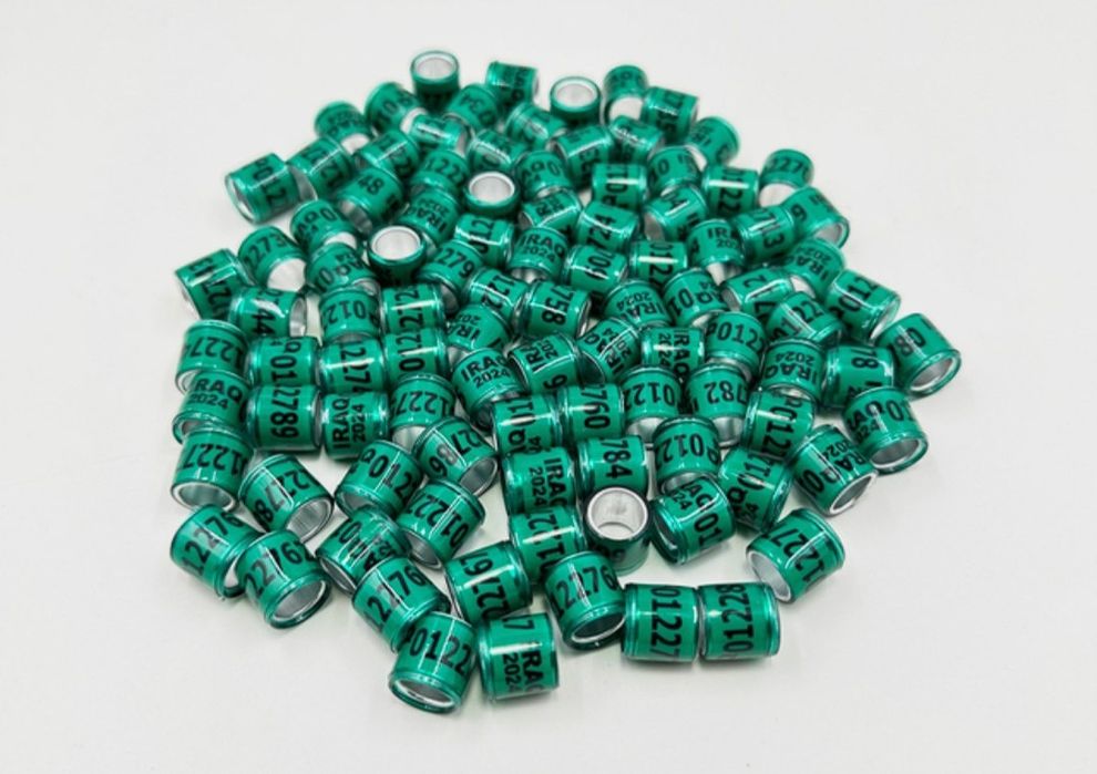 Барча кушлар калцо