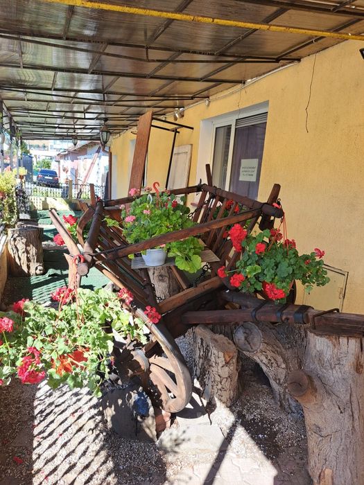 Car rustic decorativ din lemn – ideal pentru grădină sau terasă