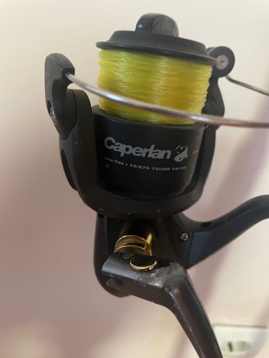 Undițe pescuit crap