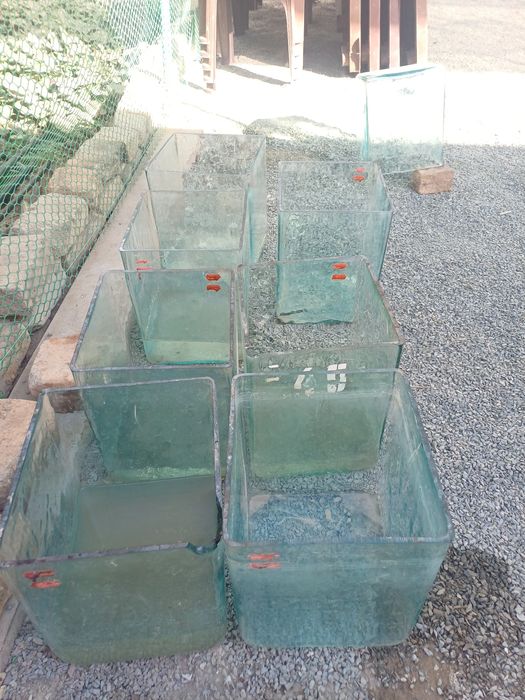 Шиша аквариум. Shisha akvarium