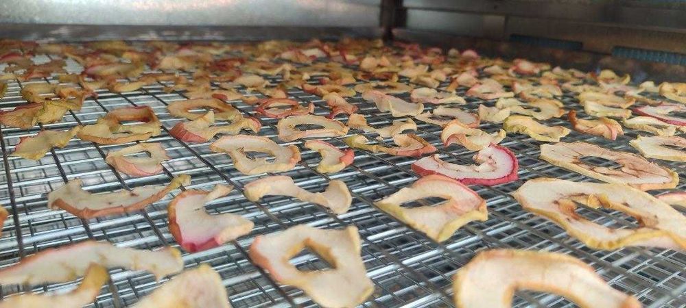 Сушильный шкаф, сушилка для сухофруктов