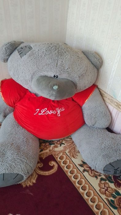 Tediy ayiq katta