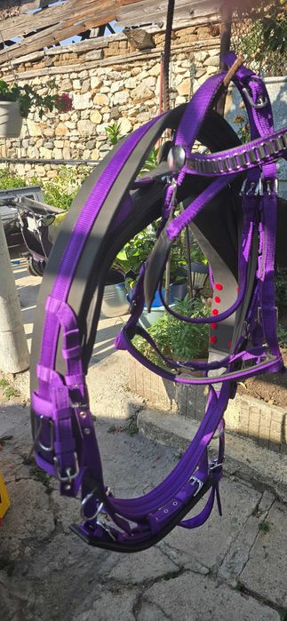 Амуниции за коне