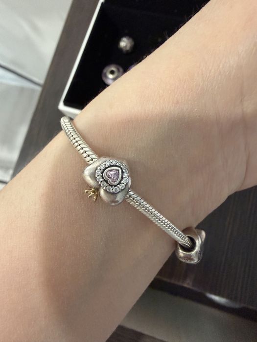 Шармы мальчик и девочка серебро Пандора