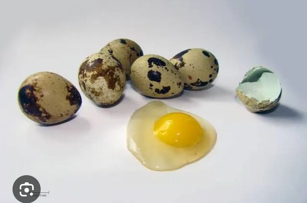 Перепелинные яйца.