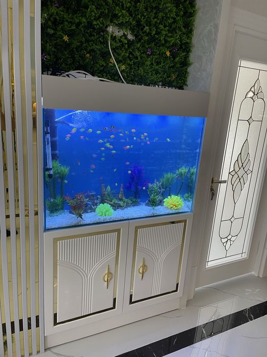 Zakazga Akvarium qilib beramiza