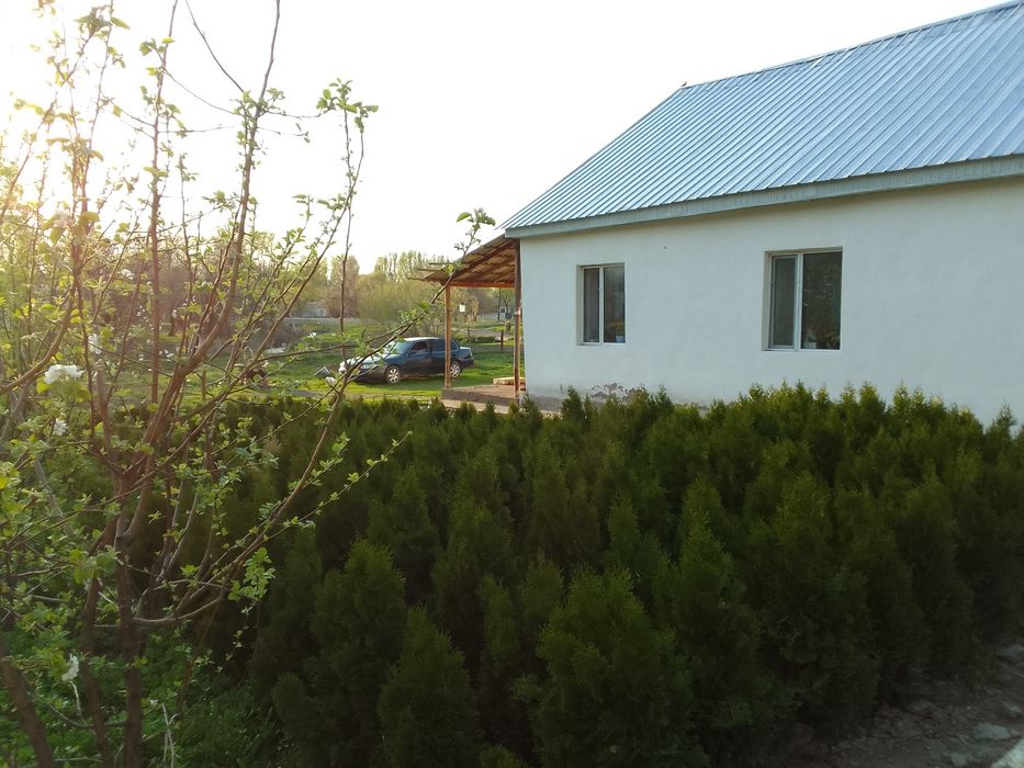 Туя сатылады. 1-1,5 метрға дейін