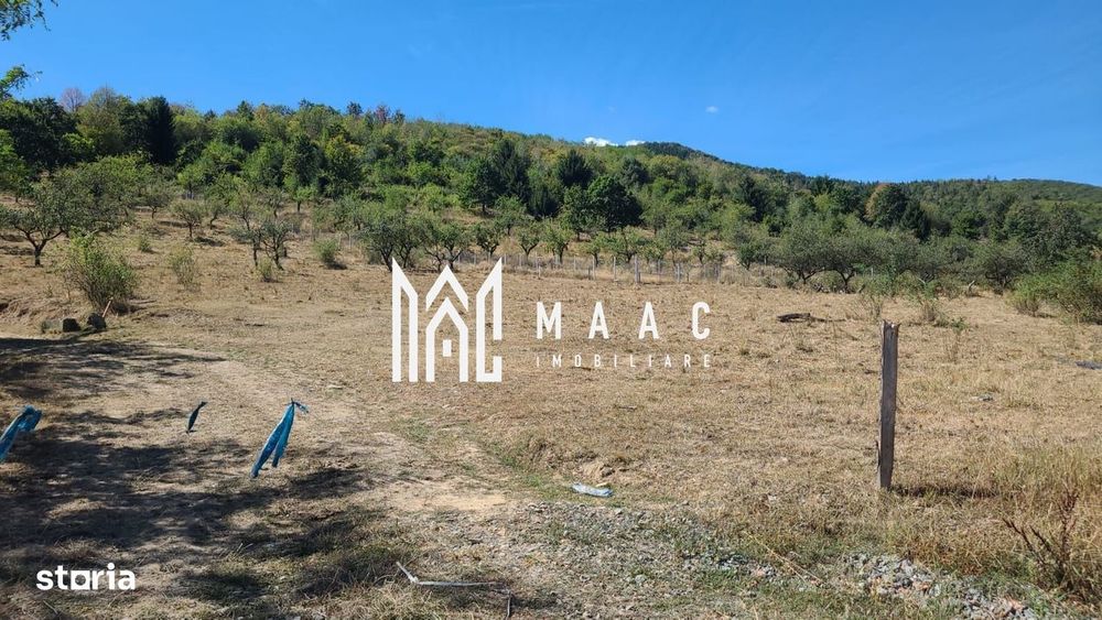 Teren 5000 Mp I Săliște I Parcelabil