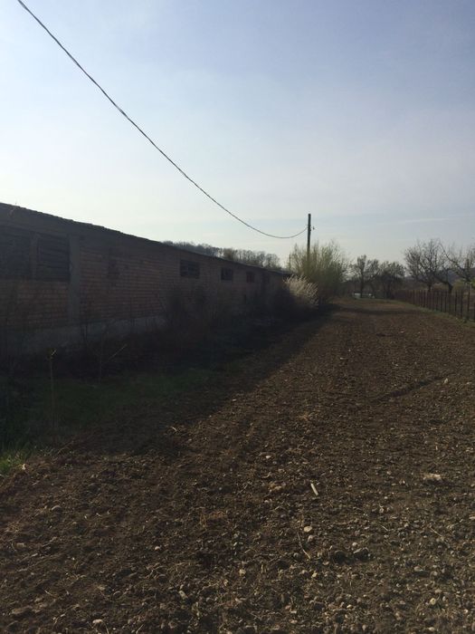 Vand Ferma Avicola-Grozesti Mehedinti-22445 mp teren+8 hale de 1000 mp