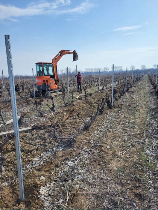 Vand spaleri de beton si zincati pentru gard si vie