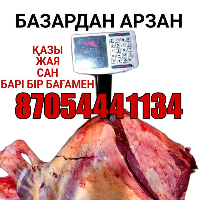 ҚАЗЫ, ЖАЯ, САН (Бір Бағамен)