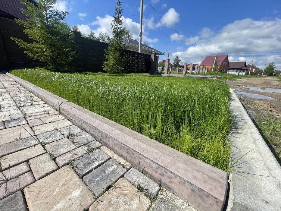 Газон спортивный зимостойкий