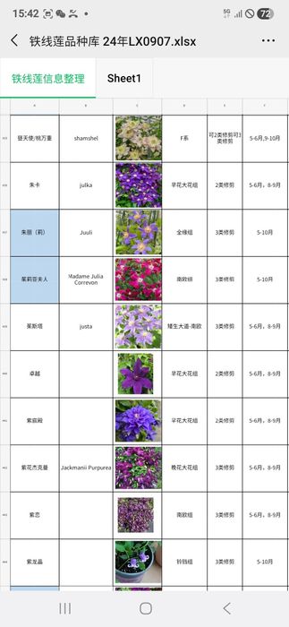 Климатис биринчи кул оптом