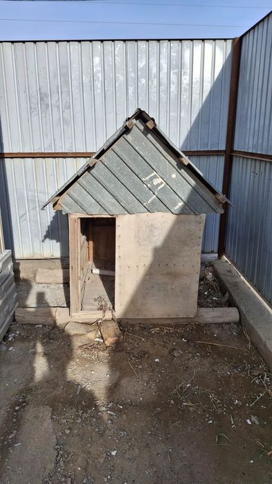 Иттің үйі сатылады. Жыллы, жайлы үй