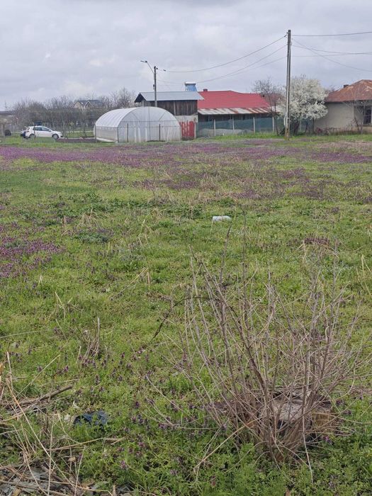 teren intravilan comuna daia