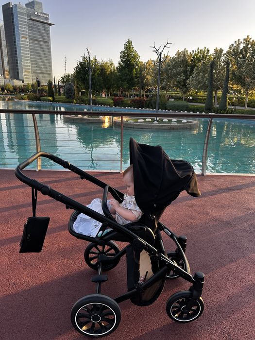 Коляска Anex Am type 2 В 1