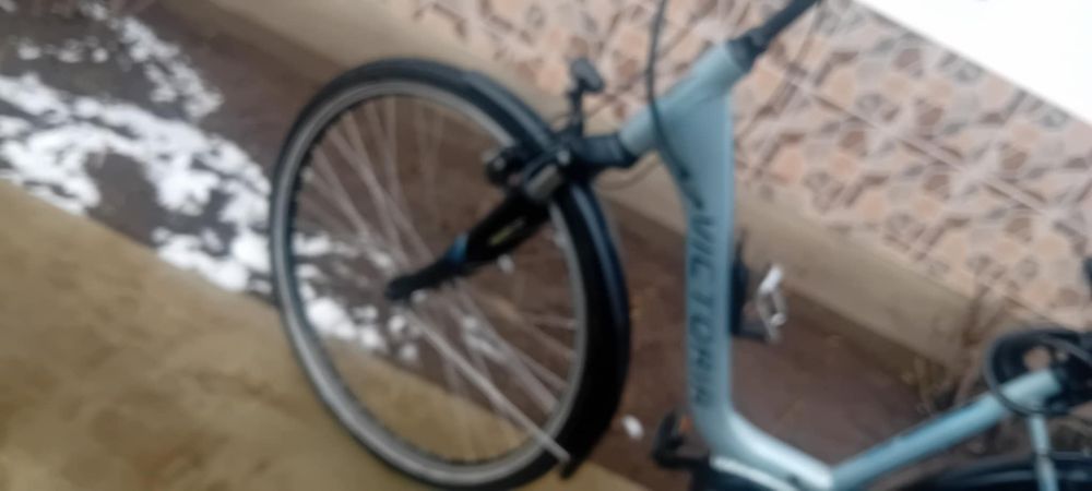 Bicicletă Electrică Victoria Motor Bosch