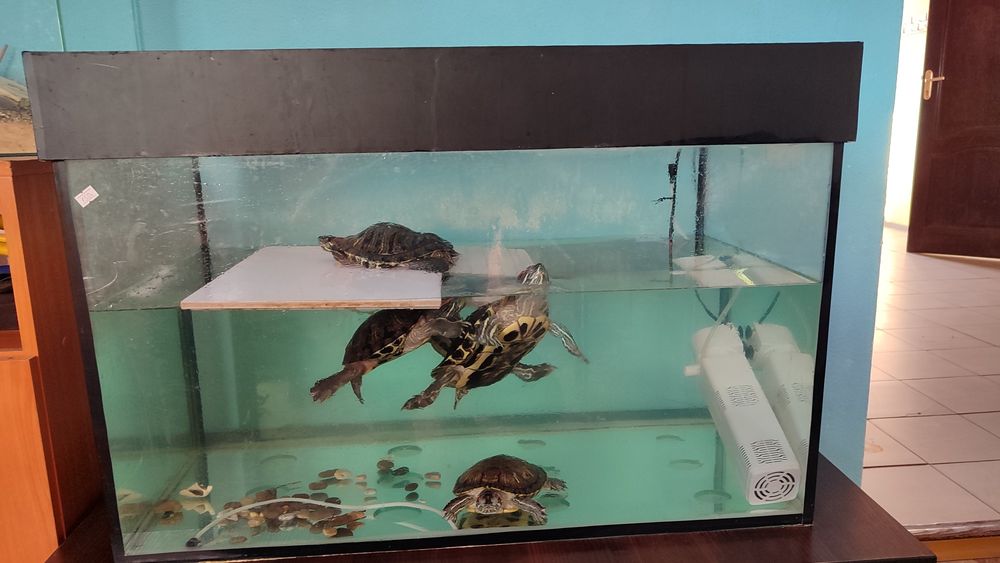 Продам аквариум для рыбок!