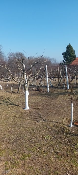 Servicii complete de grădinărit