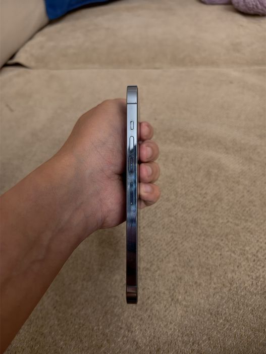 iPhone 13 Pro max 256Gb