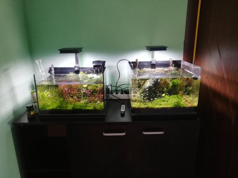 Аквариум Dennerle 35L + втори аквариум, LED Fluval, Fluval 307 + шкаф