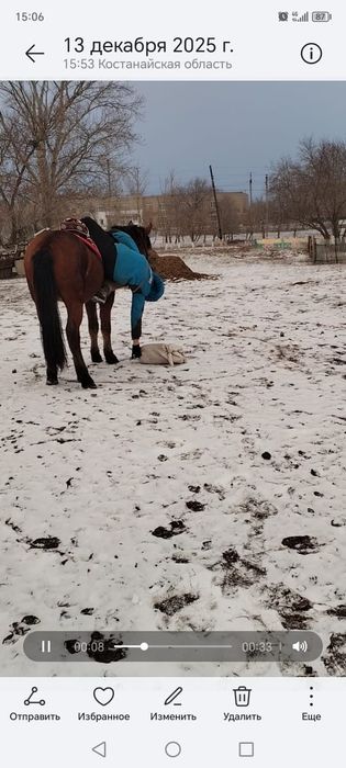 Сельхоз животное