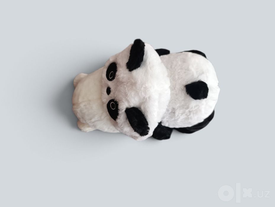 Teddy (yumshoq oʻyinchoq)