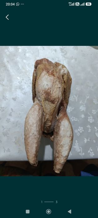 Куры, тушки не жирные