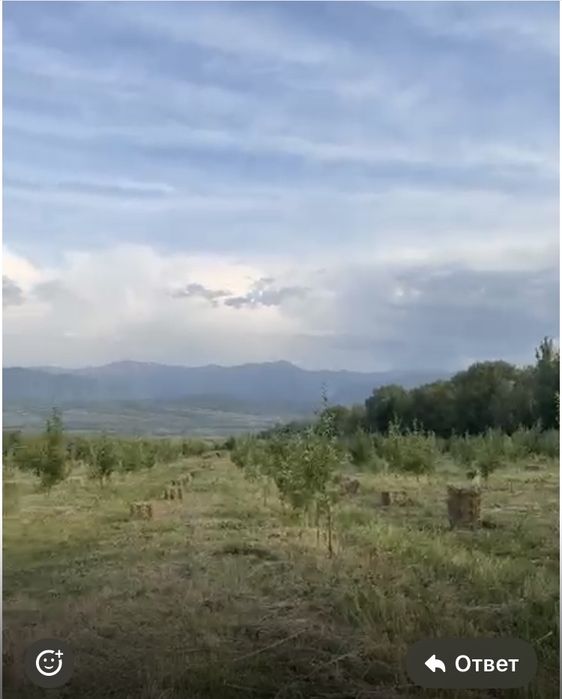 ПРОДАМ СЕНО  не дорого