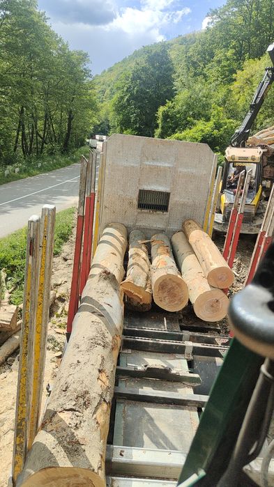 Lemn foc fag 440lei m cub