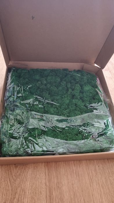 Licheni stabilizati lipiti 30/30