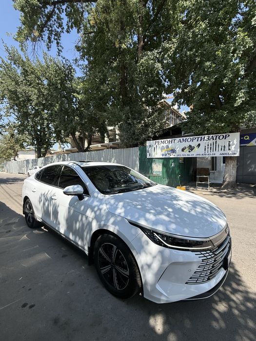 BYD CHAZOR 4-poz flagship batumators