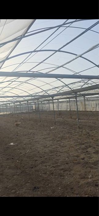 Issiqxona (парник) отценковка 63 сотка 5,3 млн