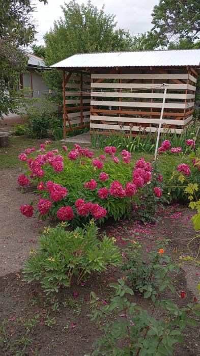 Продам 4х комнатный дом, со всеми удобствами,есть все условия для бизн