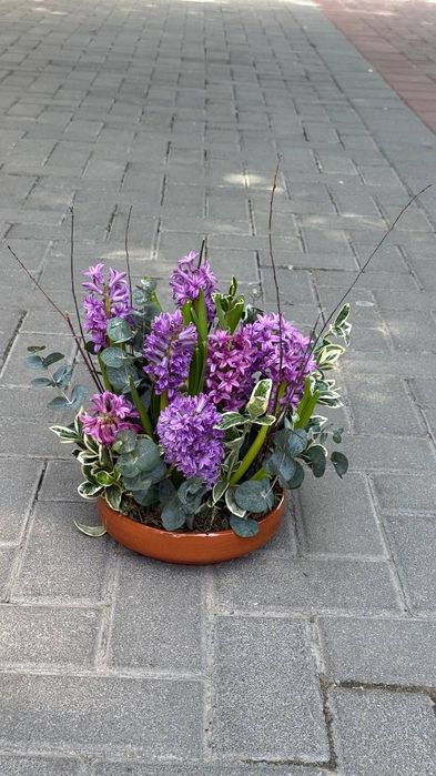 Услуги флориста (опыт 8 лет)