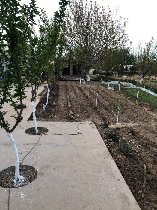 Үй сотилади ранчо