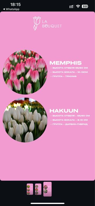 Тюльпаны на 8 марта