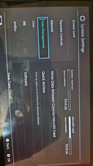 Nintendo switch OLED