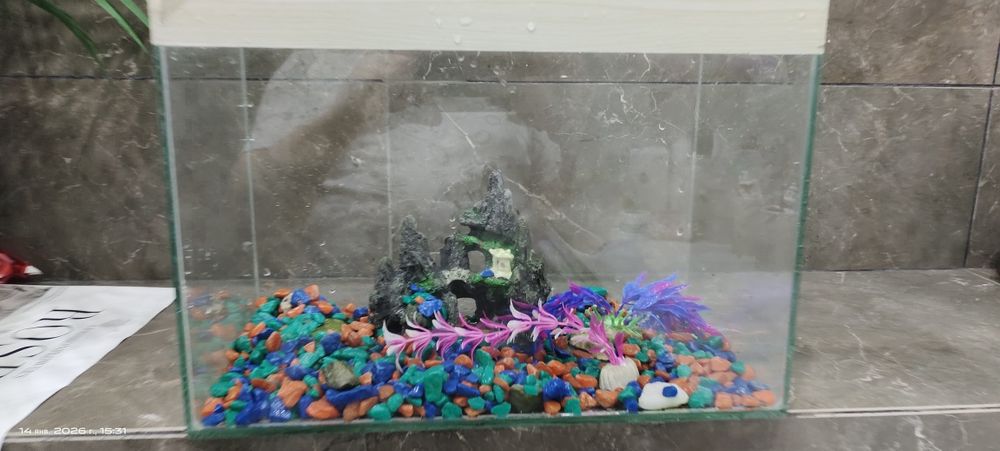 Аквариум для рыб