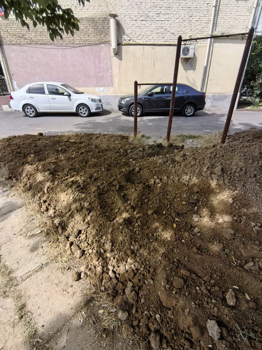 Соф турпо текинга кимга кере буса