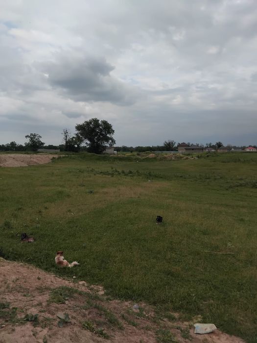 Продается земля