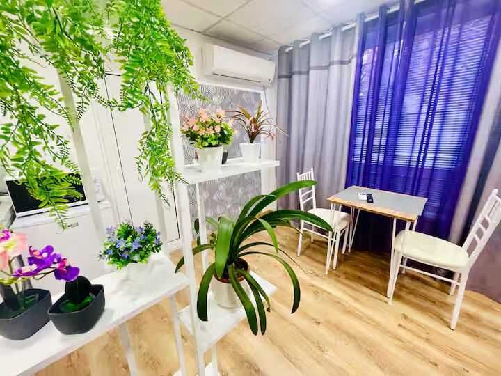 Central studio 21 65€