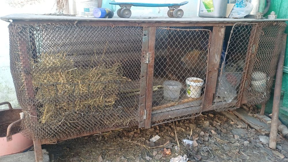Продам добротный кролятник