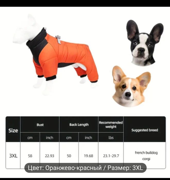 Одежда Для Собак