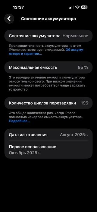 17 pro max 95% 256gb