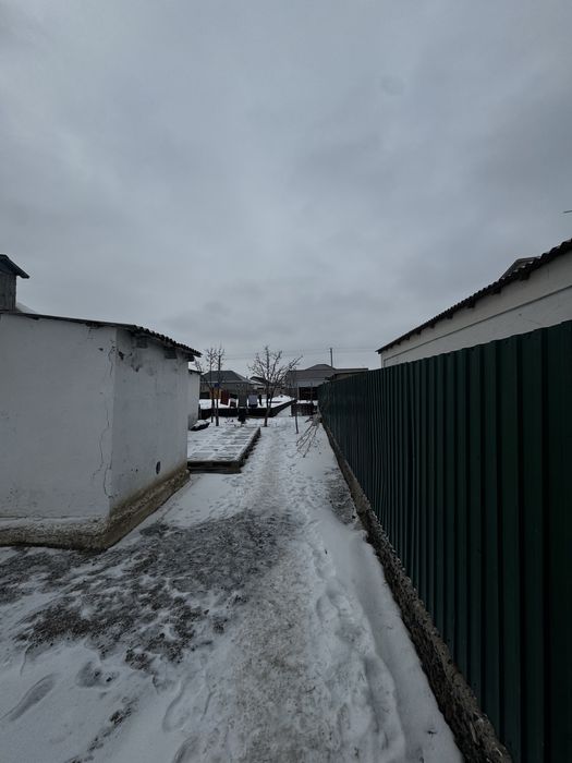 Продается старый камышитовый дом