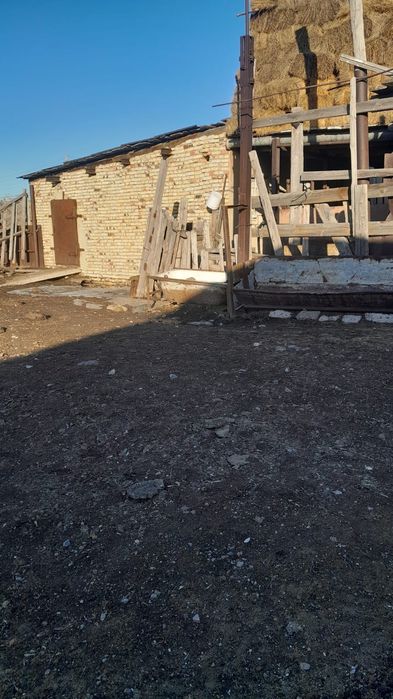 Продам дом в Саране