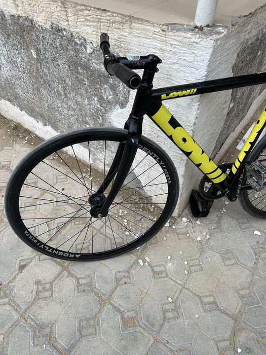 Фикс Lowii черно желтый