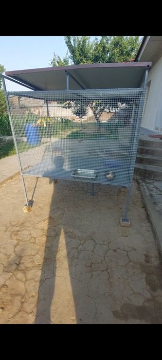 Валер  котта кафас сотилади