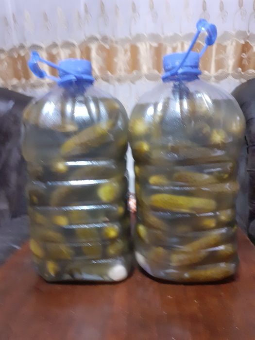 Продам огурцы  простого посола